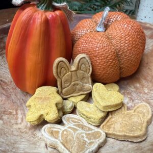 Pumpkin Dog Treats